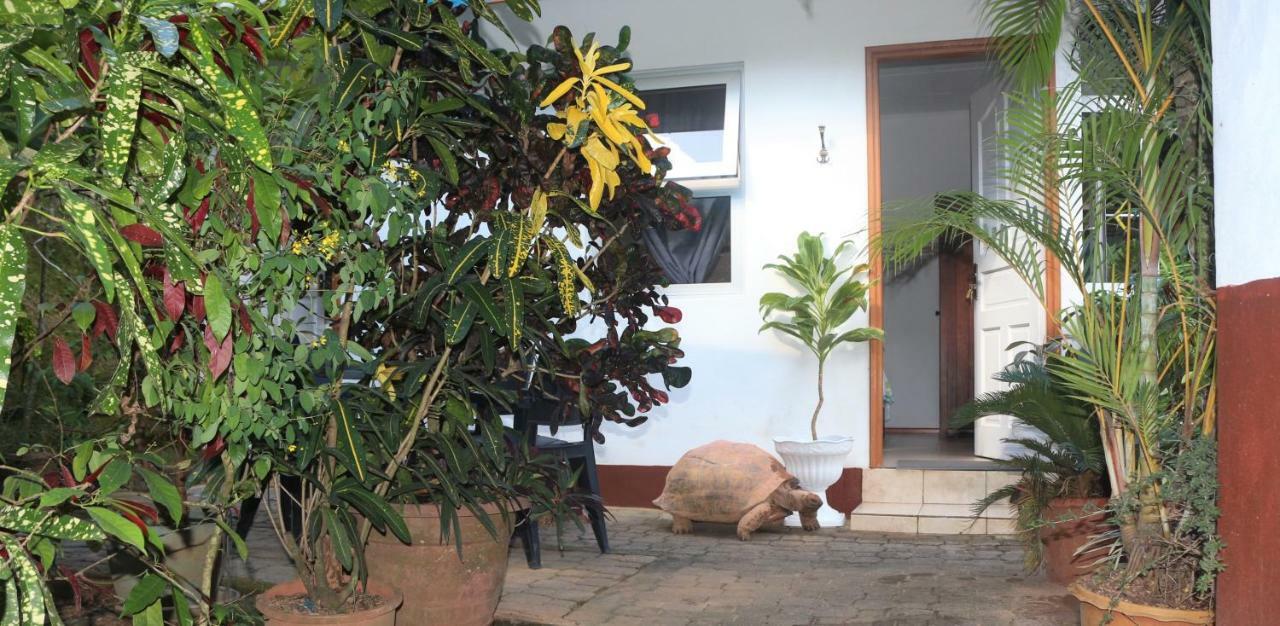 Apartamento Garden Hut Victoria Exterior foto